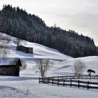 Silvester unterm Grünten