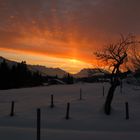 Silvesterfeuerwerk "natur"