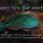 Silvesterfisch 2011