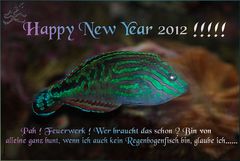 Silvesterfisch 2011