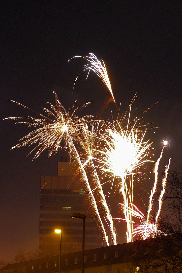 Silvestergrüsse 2012/13