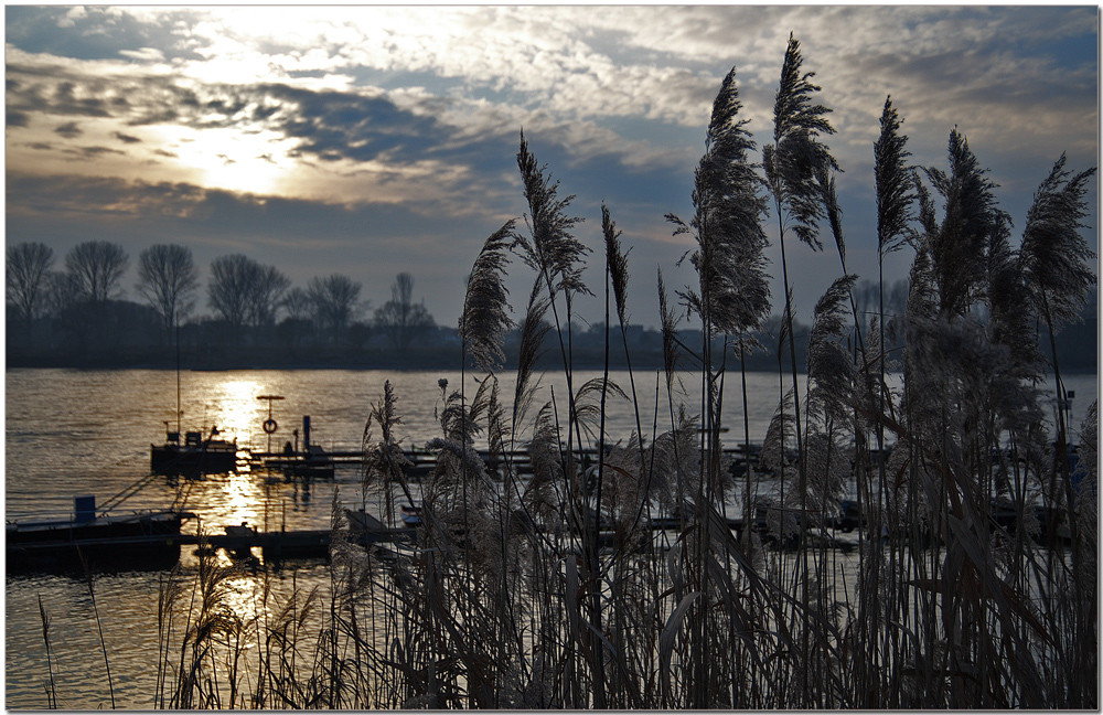 ~ Silvesterimpressionen ~