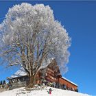 Silvesterklausen in Urnäsch (1)