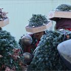 Silvesterklausen in Urnäsch (3)