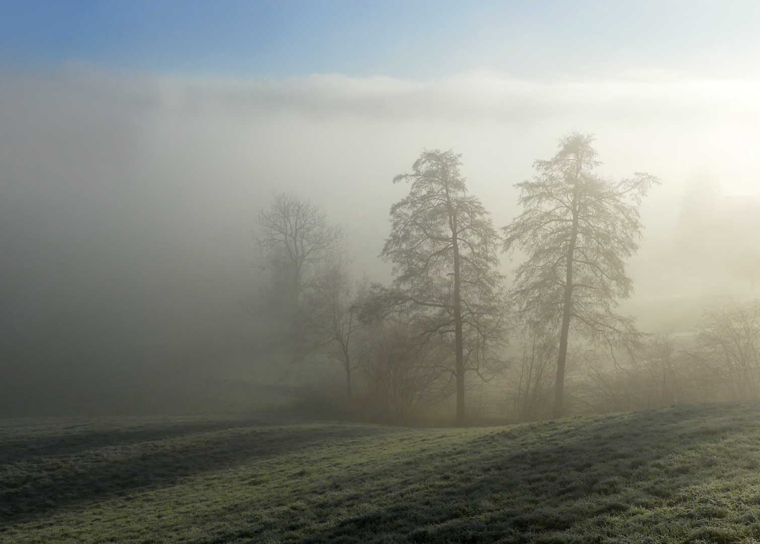 Silvestermorgen