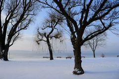 Silvestermorgen am Bodensee