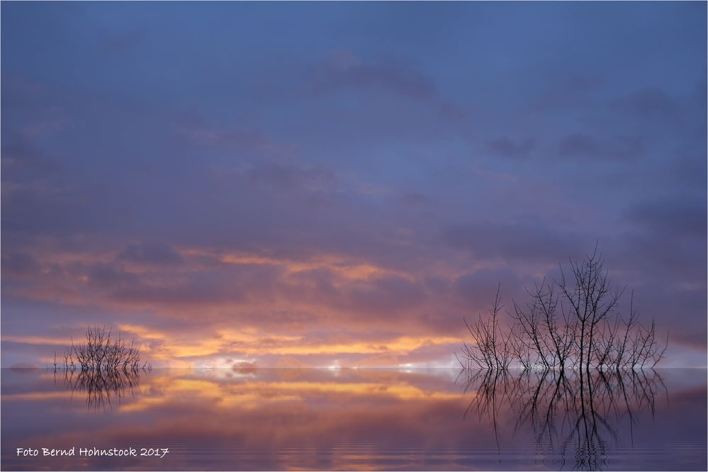 Silvestermorgen am linken Niederrhein ....