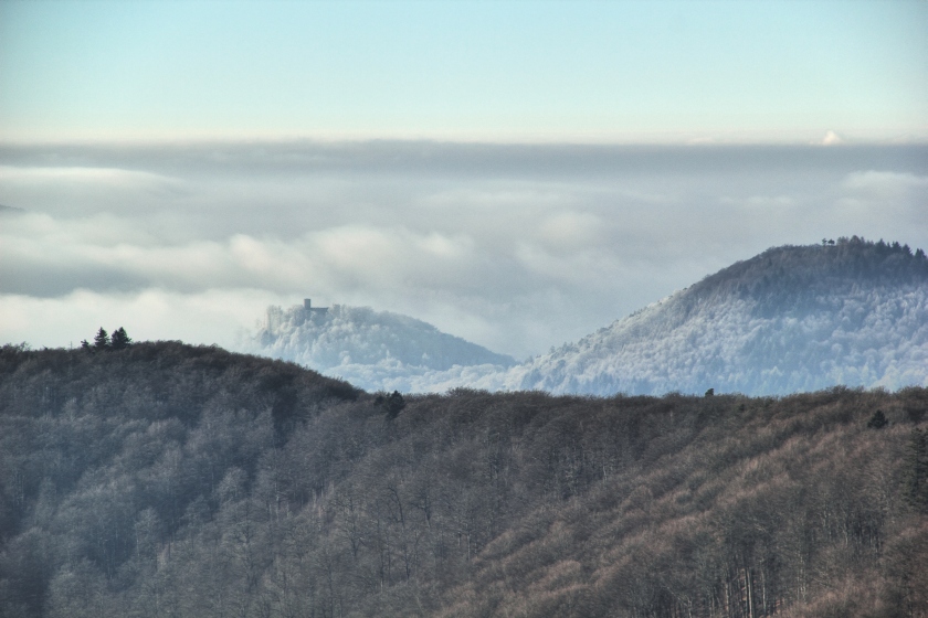 Silvesternebel