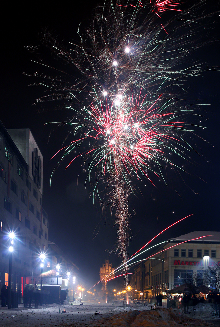 Silvesterpalme auf dem Marktplatz in Neubrandenburg