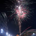 Silvesterpalme auf dem Marktplatz in Neubrandenburg