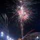 Silvesterpalme auf dem Marktplatz in Neubrandenburg