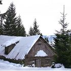 Silvesterparadies am Wechsel