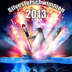 Silvesterschwimmen Achensee