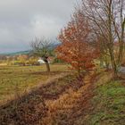 Silvesterspaziergang, 3 (paseo de Nochevieja, 3)