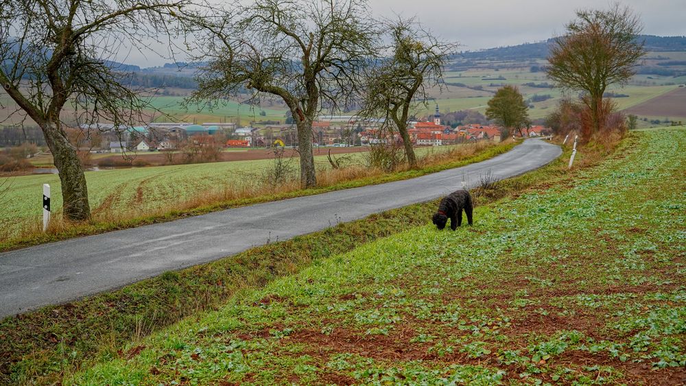 Silvesterspaziergang, 4 (paseo de Nochevieja, 4)