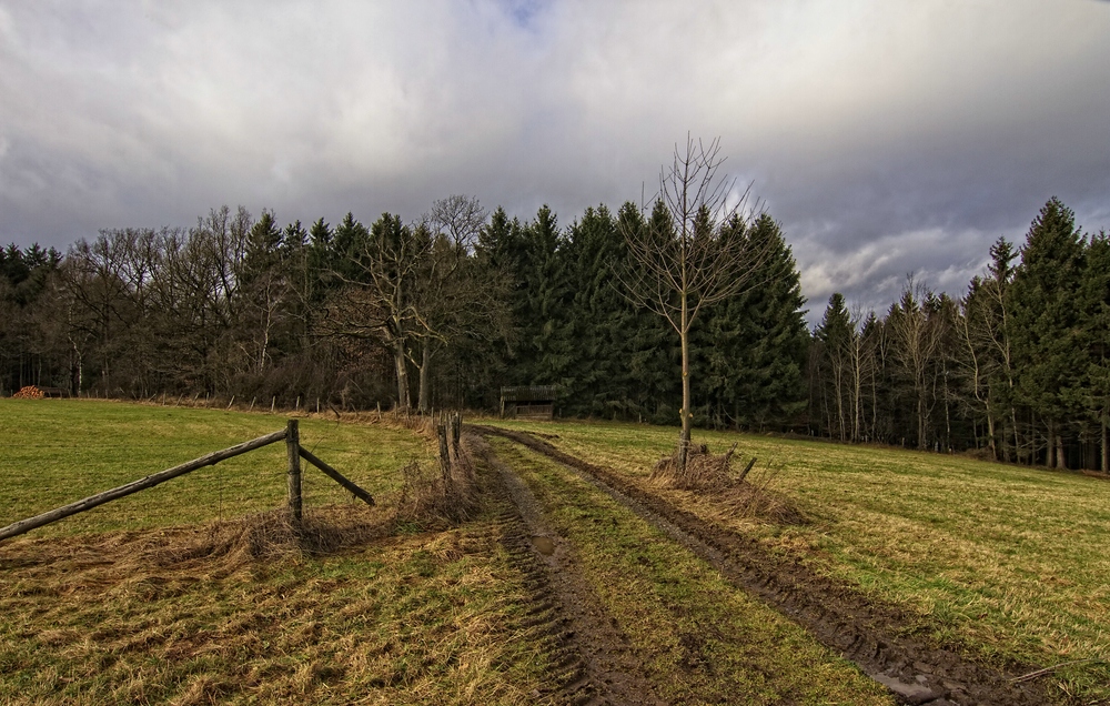 Silvesterspaziergang