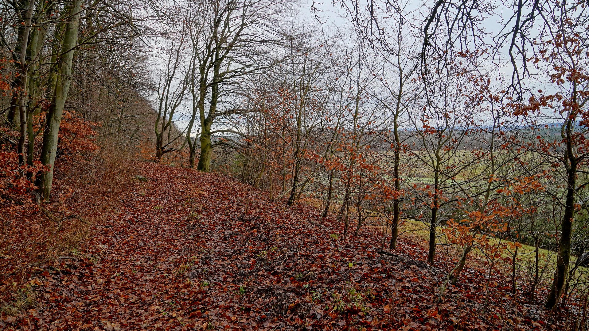 Silvesterspaziergang, 6 (paseo de Nochevieja, 6)