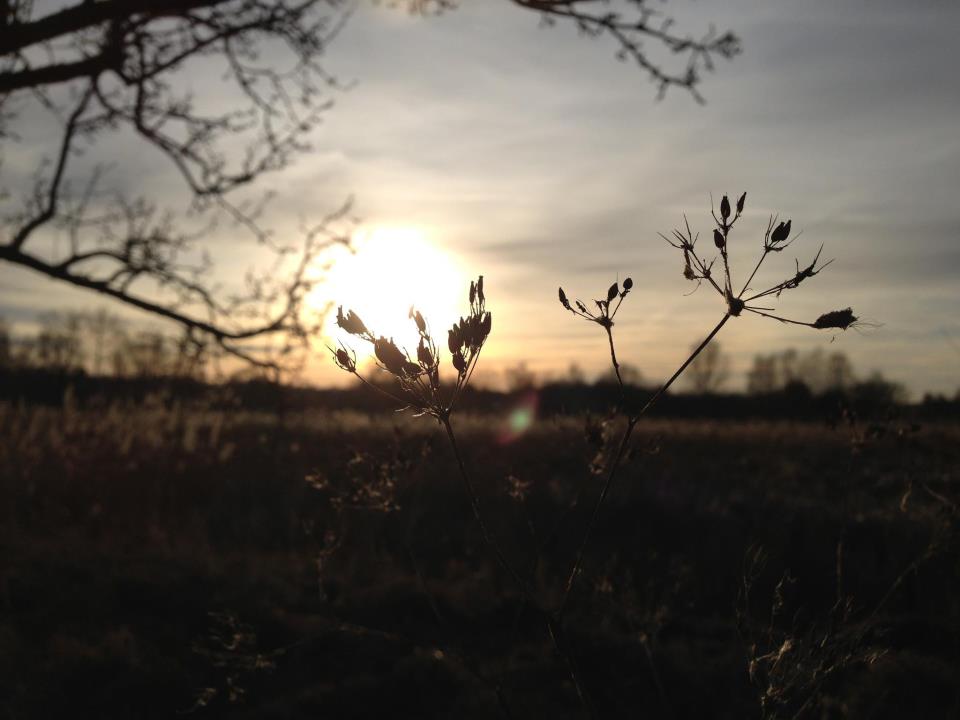 Silvesterspaziergang