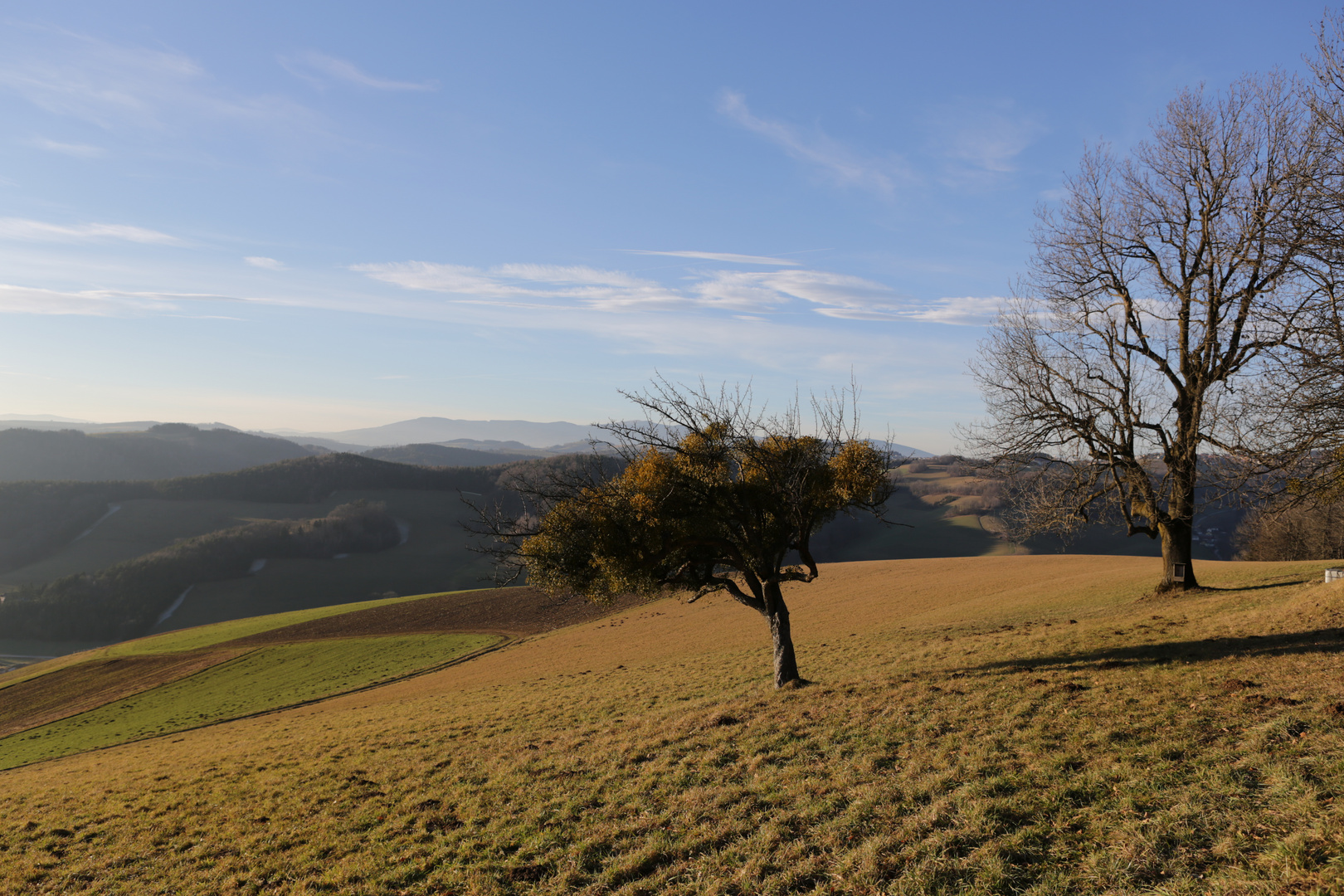 Silvesterspaziergang