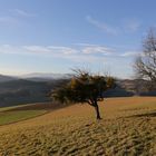 Silvesterspaziergang