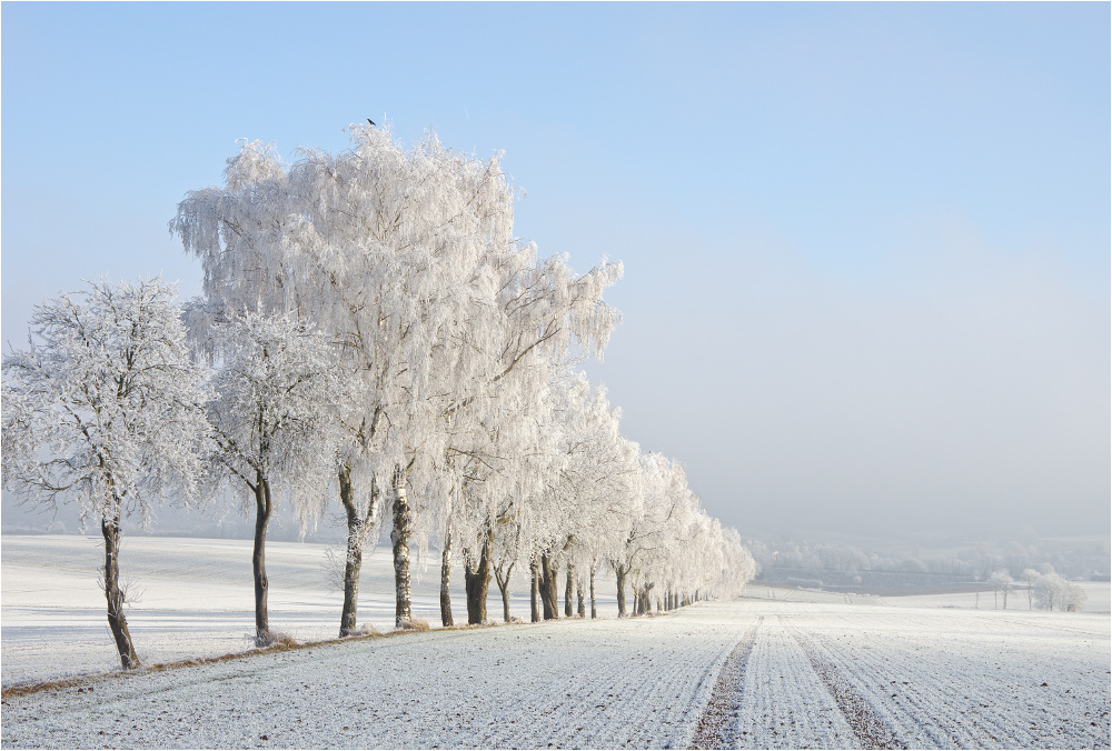 Silvesterspaziergang