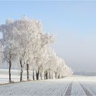 Silvesterspaziergang