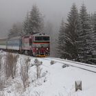 Silvesterzug 2018