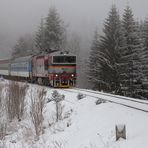 Silvesterzug 2018