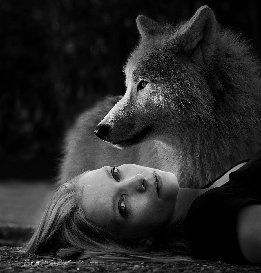 silvi und der wolf