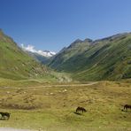 Silvretta-Hochalpenstraße 3