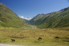 Silvretta-Hochalpenstraße 3