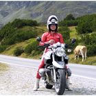 Silvretta_BMWR850R 045