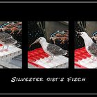 silvster gibts fisch