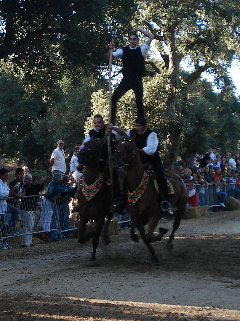 Simbiosi Uomo-Cavallo