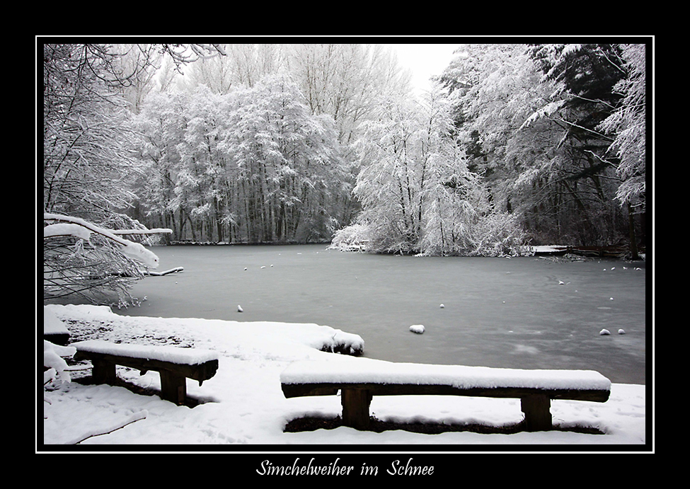 Simchelweiher im Schnee