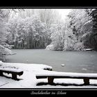 Simchelweiher im Schnee