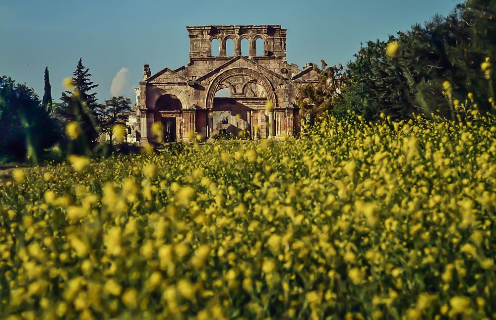 Simeonkloster in Ad Dana, Syrien. 120_3745