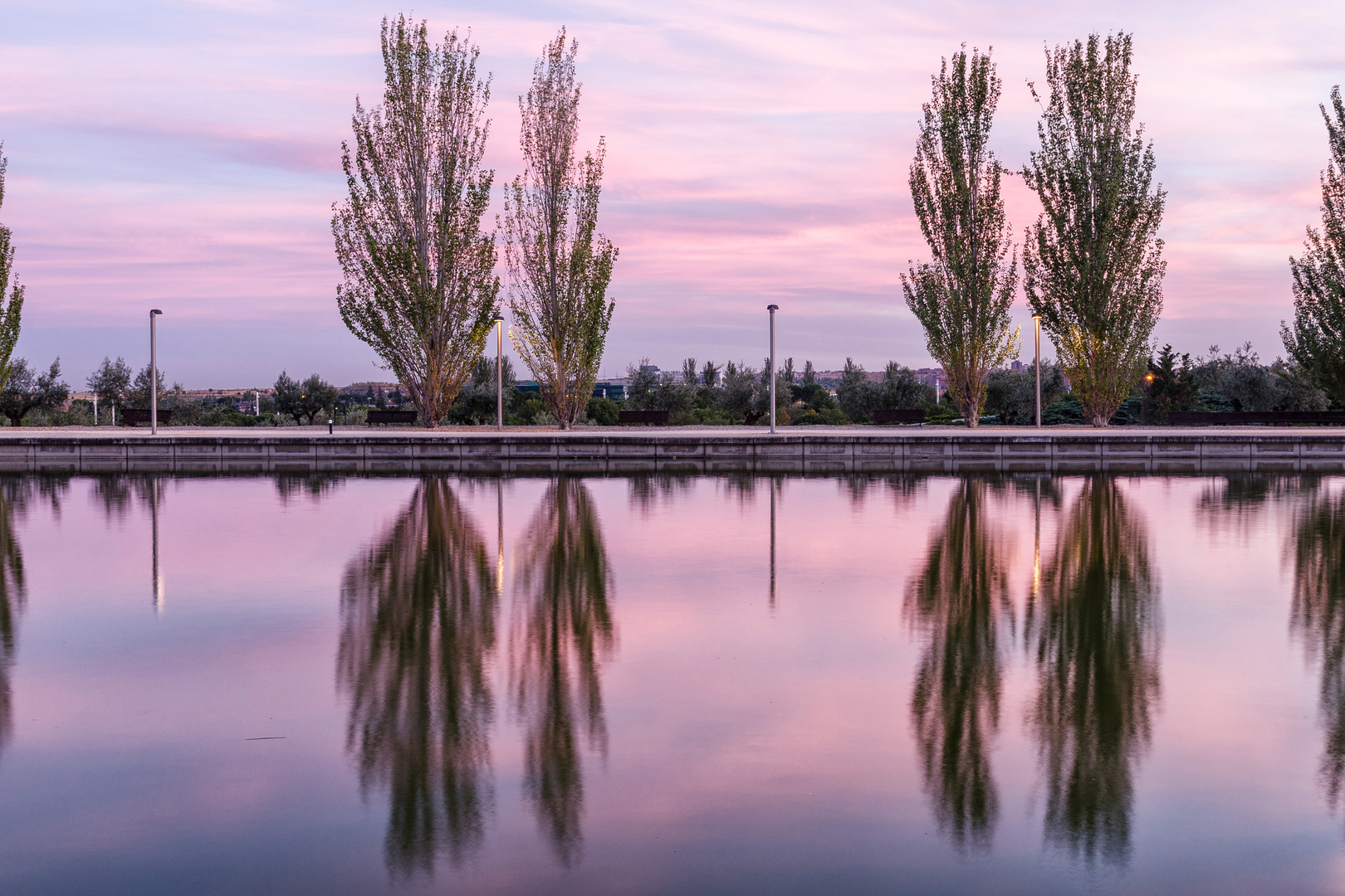 La Naturaleza? ¡Simetría dentro de la Diversidad! : Blog de Emilio Silvera V.