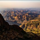 Simien