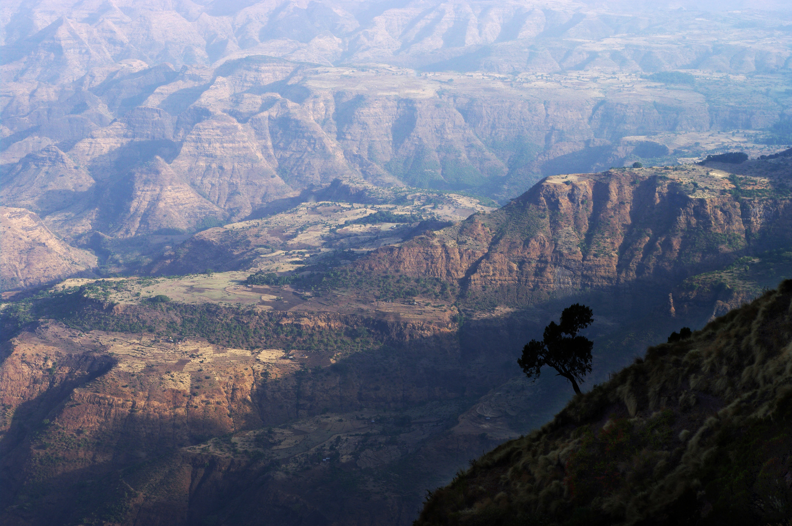 Simien