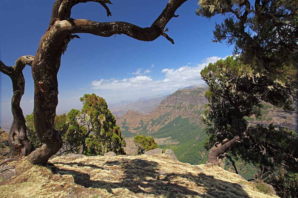 Simien- Gebirge Äthiopien