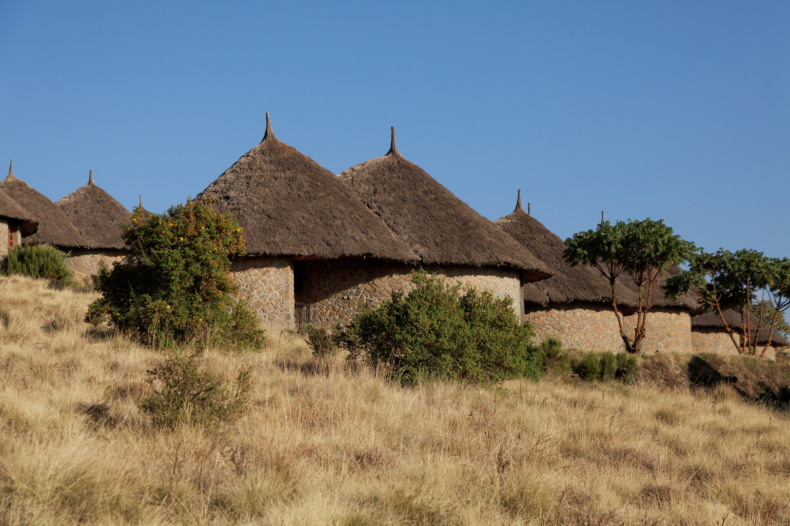 Simien Lodge