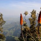 Simien Mountains - Äthiopien