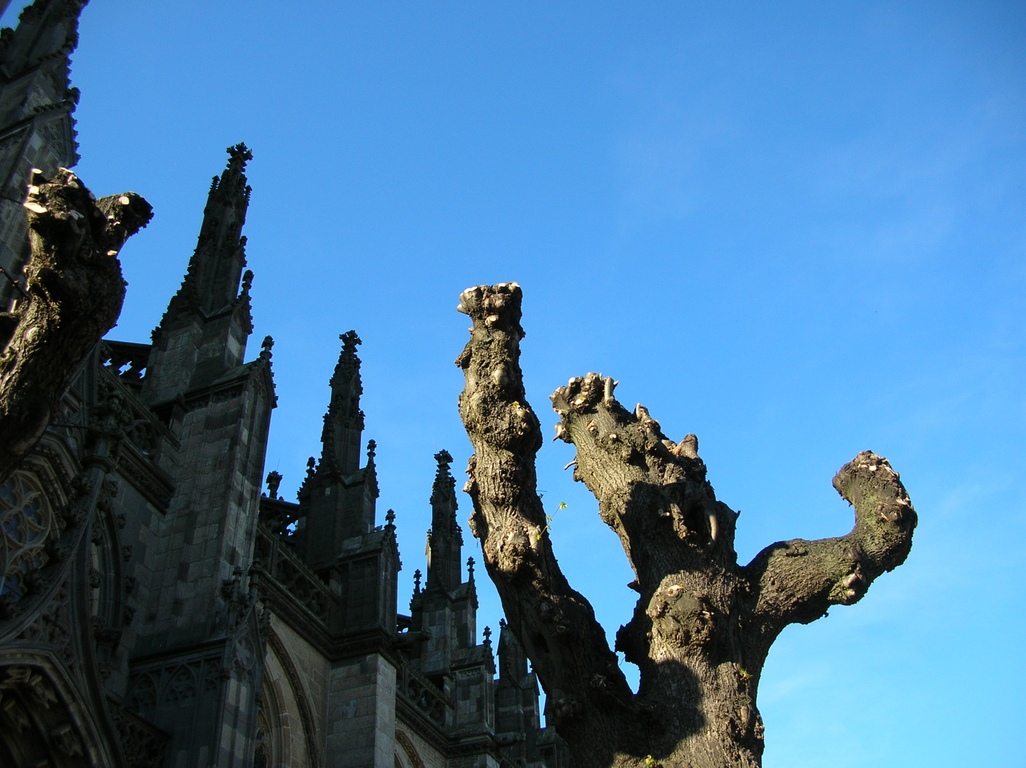 Similarities - Xanten Cathedral