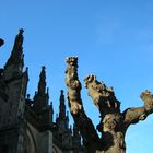 Similarities - Xanten Cathedral