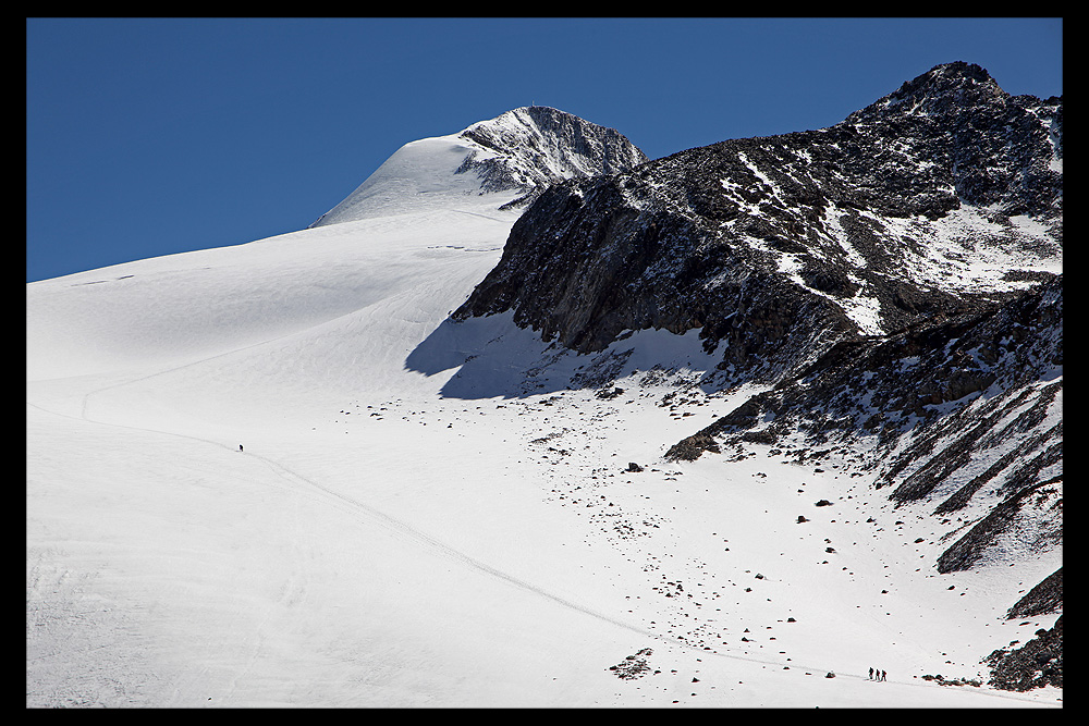 Similaun (3597 m)