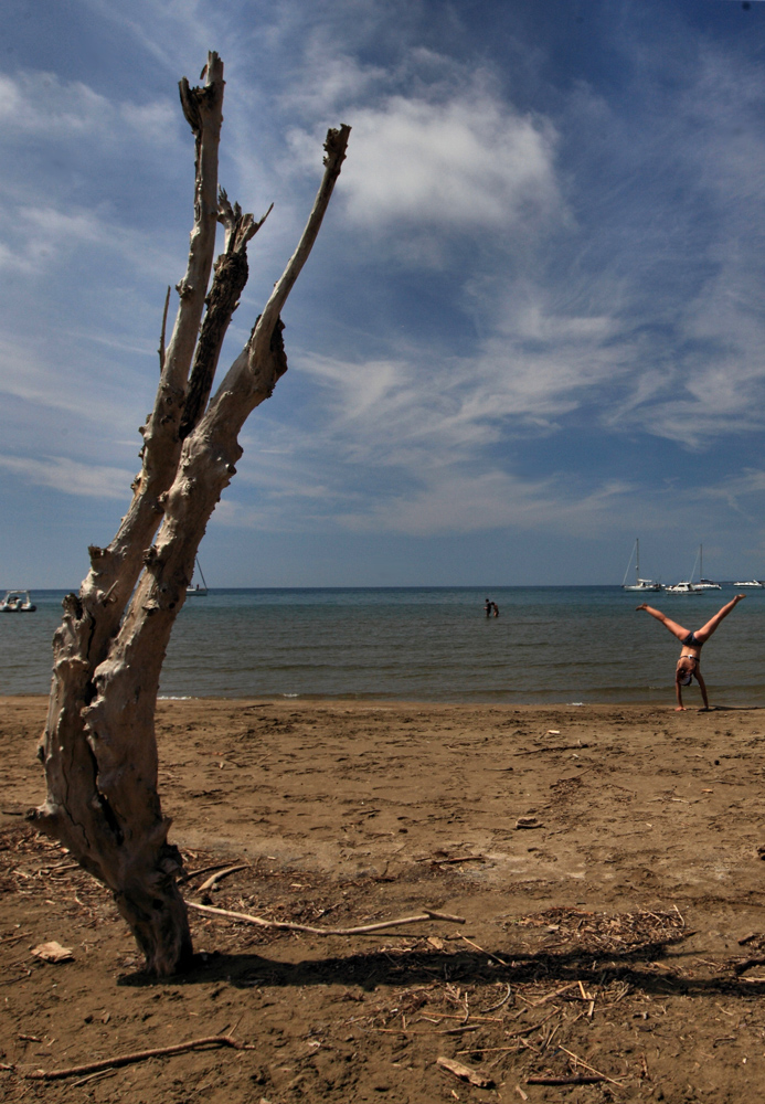 similitudini da spiaggia