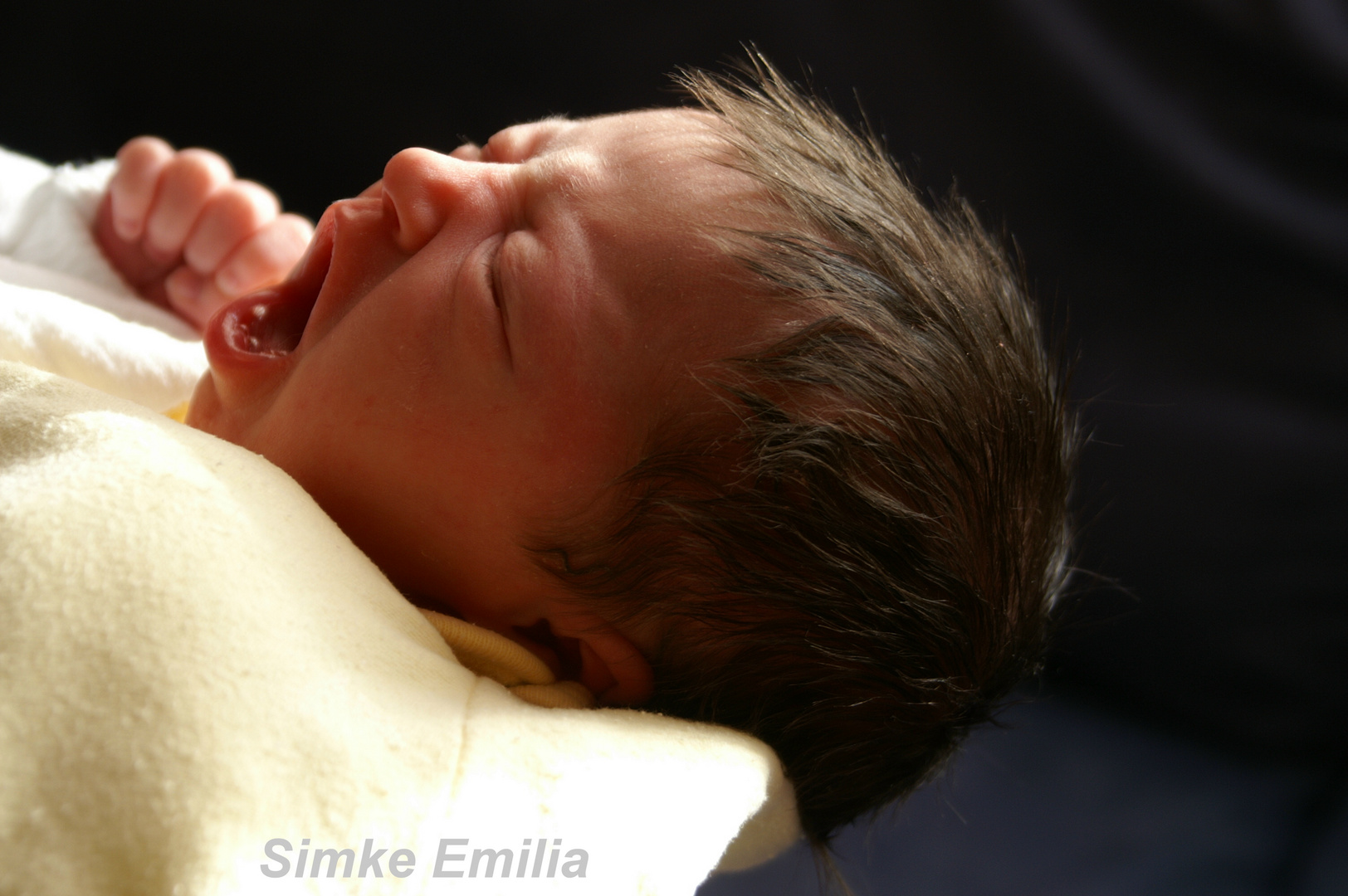 Simke Emilia