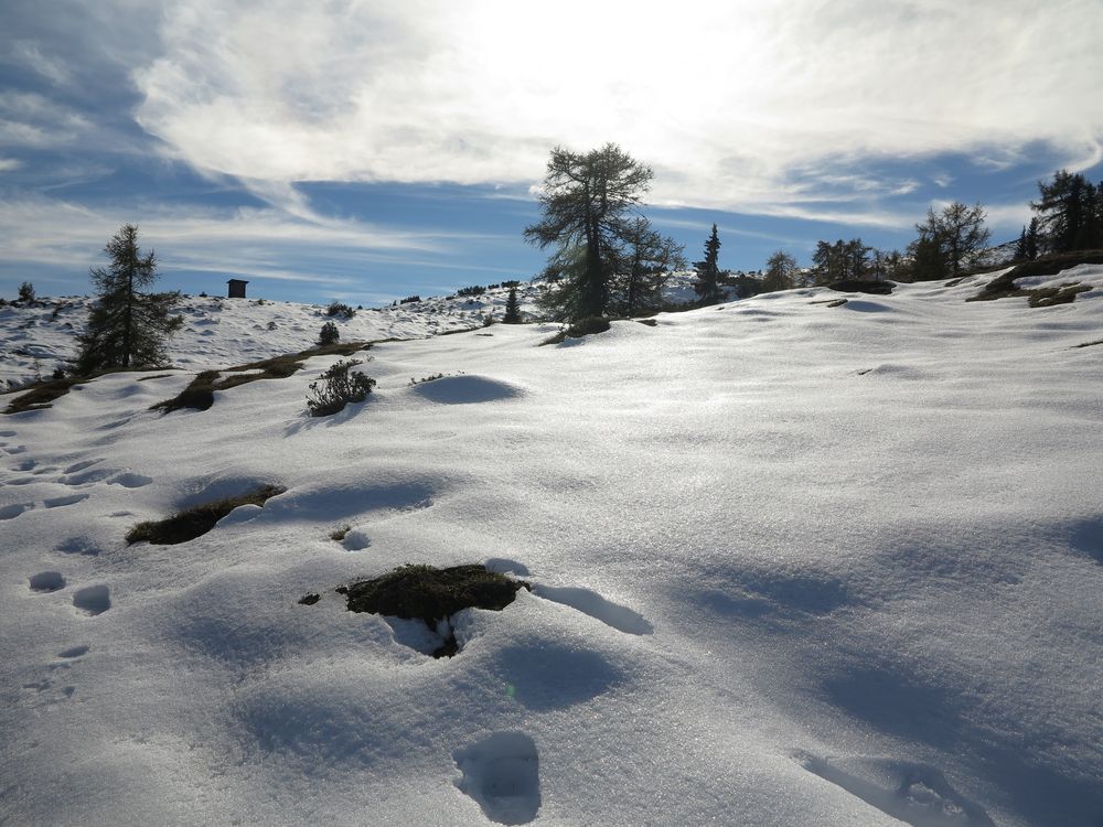 Simmering Alm im Herbst 2013