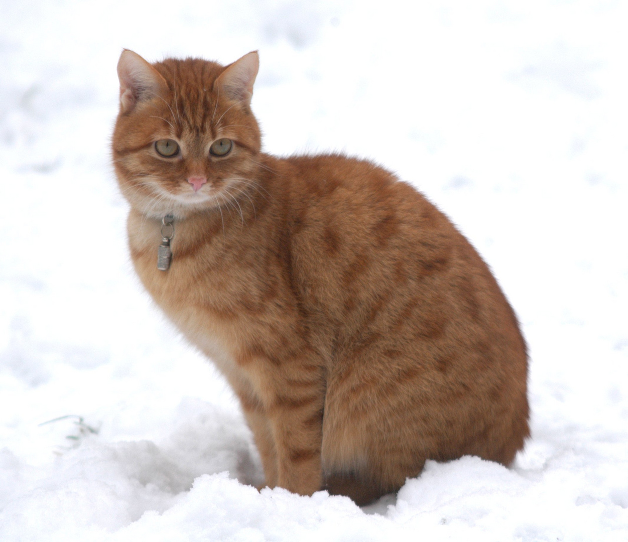 Simon in the Snow - 2